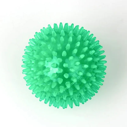 Durable Squeaky Dog Balls