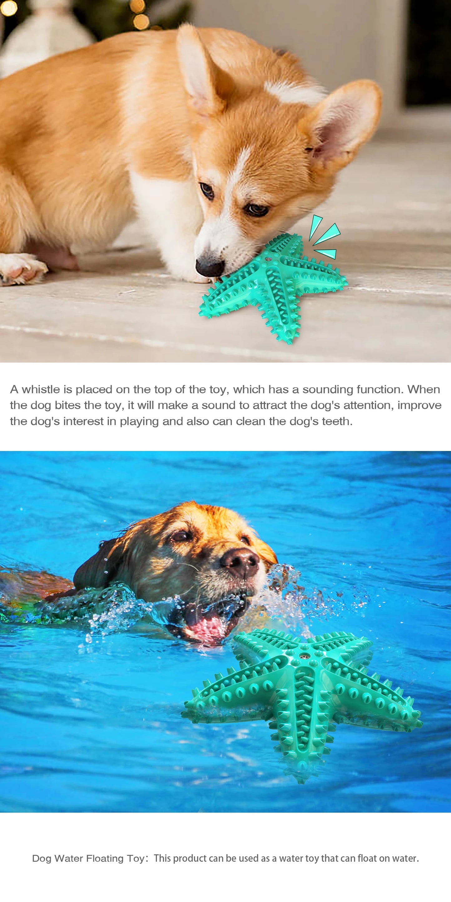 Starfish Squeaky Dog Toy
