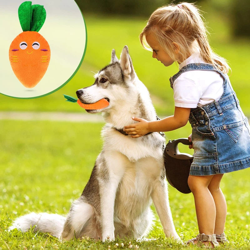 Plush Carrot Dog Toy
