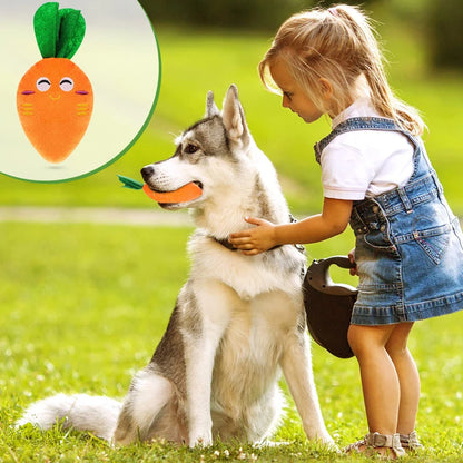 Plush Carrot Dog Toy