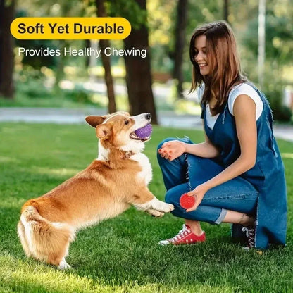 Durable Squeaky Dog Balls