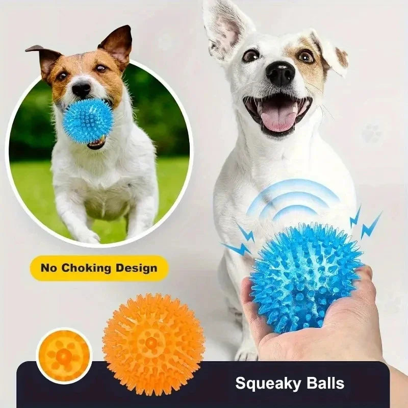 Durable Squeaky Dog Balls