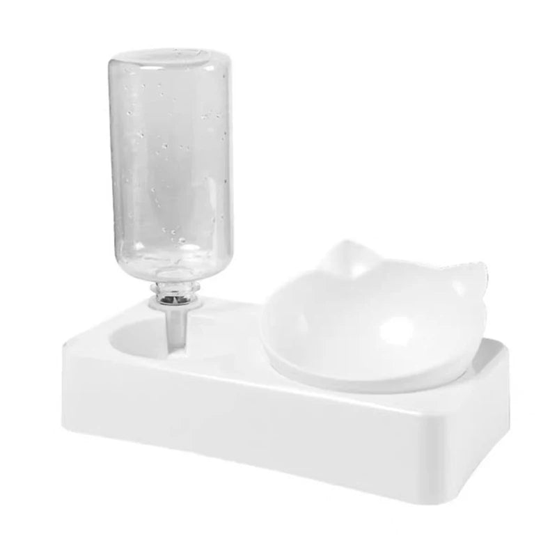 Tilted Double Pet Feeder