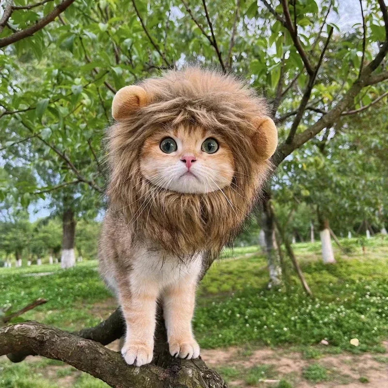Lion Mane Pet Costume