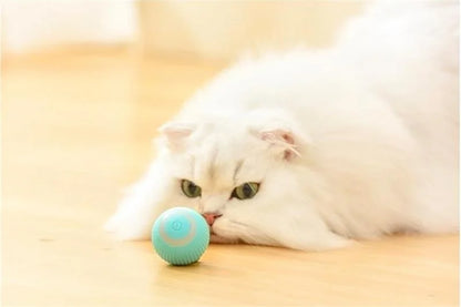 Smart Rolling Puppy Ball