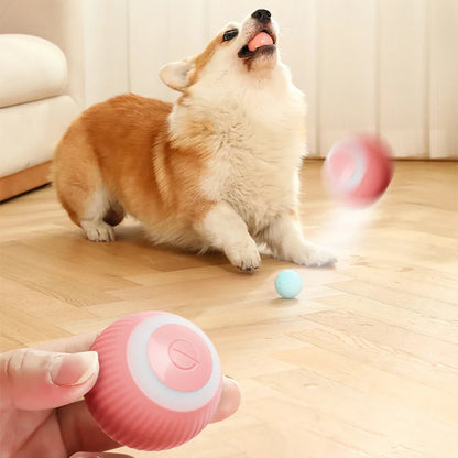 Smart Rolling Puppy Ball