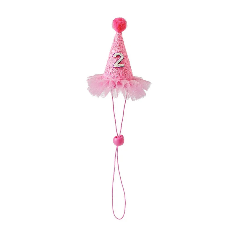 Pet Party Hat Gift