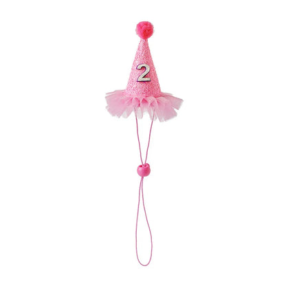 Pet Party Hat Gift