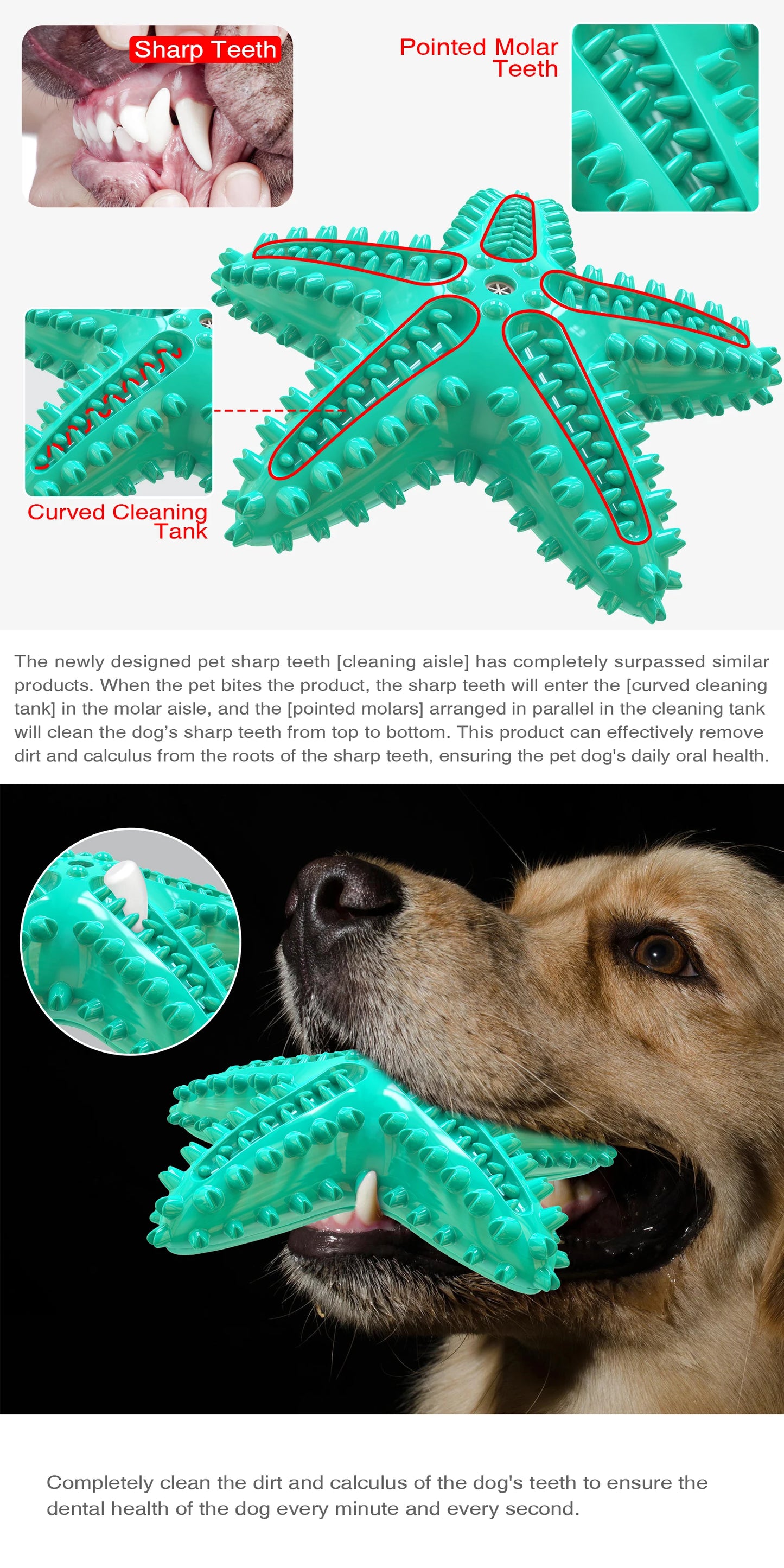 Starfish Squeaky Dog Toy