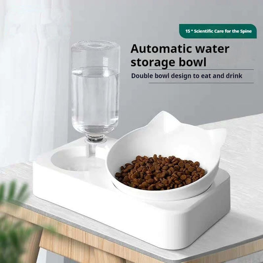 Tilted Double Pet Feeder