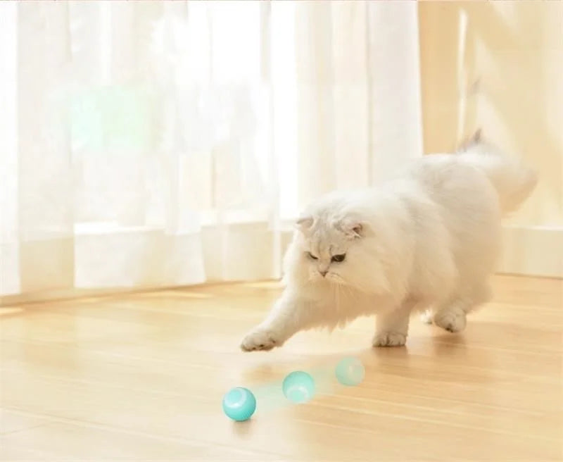 Smart Rolling Puppy Ball