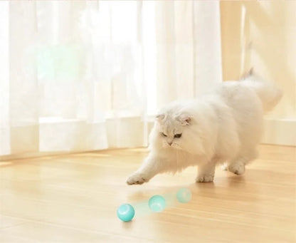 Smart Rolling Puppy Ball