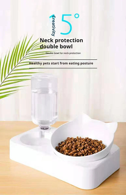Tilted Double Pet Feeder