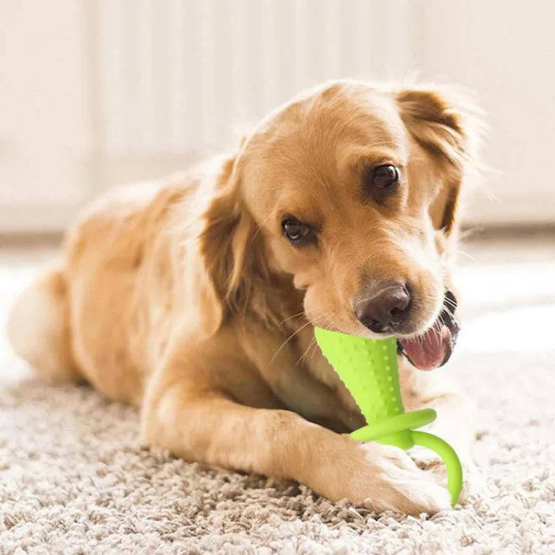 Tough Chew Toy for Dogs