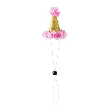 Pet Party Hat Gift