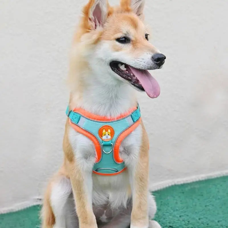 Reflective No-Pull Pet Harness