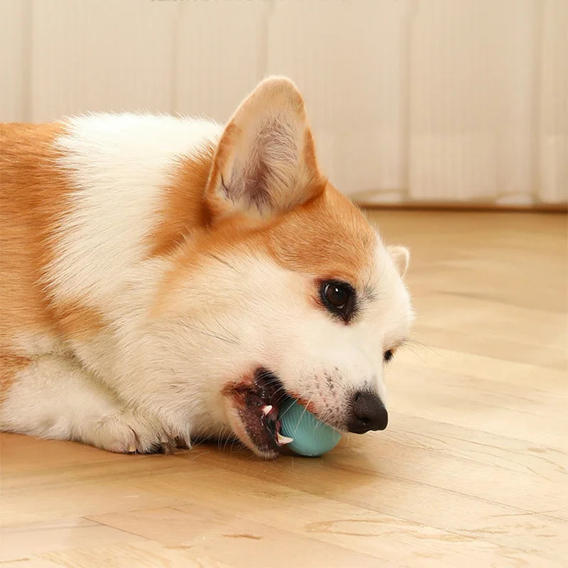Smart Rolling Puppy Ball