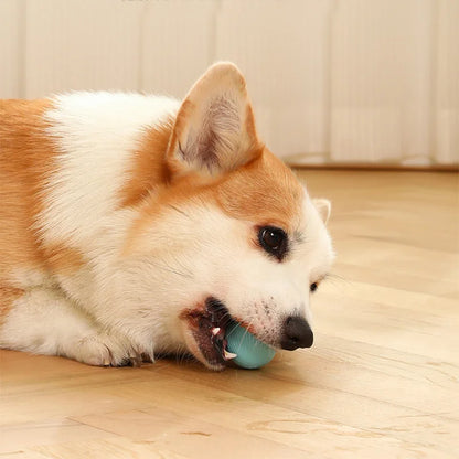 Smart Rolling Puppy Ball